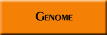 GENOME